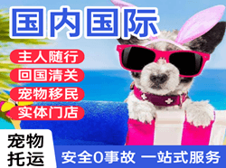 长治航空托运国际宠物托运 【国